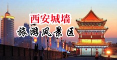 骚骚美女黄色网站中国陕西-西安城墙旅游风景区