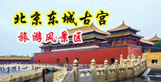喷入小穴视频中国北京-东城古宫旅游风景区